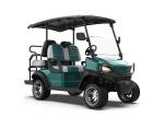 Customizable OEM / ODM Electric Golf Carts With 1 Year Warranty