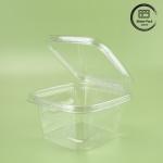 Transparent Plastic Food Storage Boxes Salad Containers BPA-Free Leakproof
