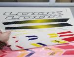 Pantone Color Decorative Bicycle Frame Decals OEM / ODM Available