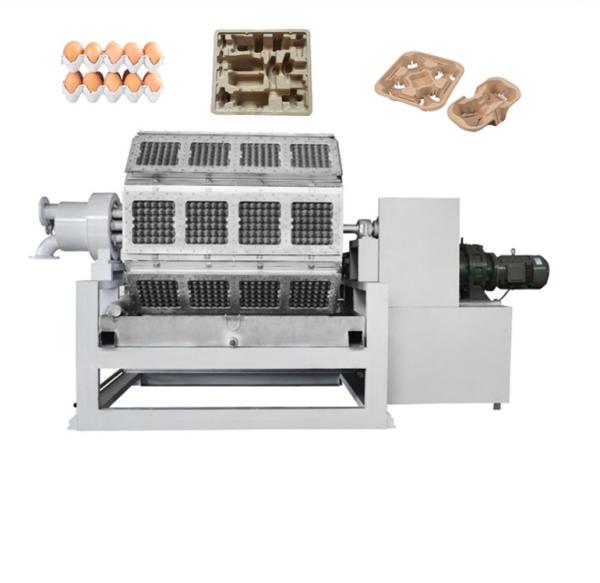 Automatic Waste Paper Tray Forming Machine Pulp Egg Tray Egg Carton Production