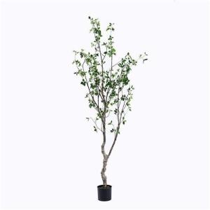 Quality Plastic Spanish Cedar wholesale