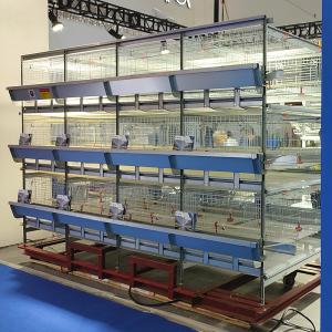 Quality Pullet Poultry Farming Equipment , 3 / 4 Tiers Automatic Layer Poultry Equipment wholesale