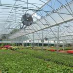 Rolling Bench Vegetable High Tunnel Greenhouse Steel Frame Hydroponics Large
