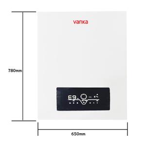 Quality Balanced Type Gas Central Heating Combi Boiler 20KW - 40KW Smoke Extraction wholesale