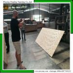 Construction WBP 1220*2440mm Film Faced Shuttering Plywood