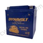 12V 30Ah Recreational Vehicle Batteries 125CC Four Wheeler Battery DYNAVOLT
