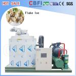 CBFI BF1000 - BF60000 Commercial Ice Block Making Machine For Cooling Vegetable