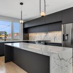 Smart Room Cabinets Modern Kitchen Cabinet and Oven in Matte Black for End
