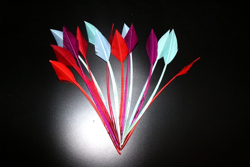 Dyed Pattern Striped Turkey Feather Pen Quill Fast and Secure Shipping