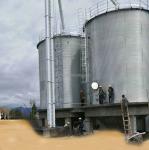 High Capacity Stainless Steel Maize Corn Storage Silo for Paddy/Corn in Uganda