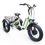 Aluminum Alloy Frame 3 Wheel Electric Tricycle Folding 20 Inch Fat Tire Electric
