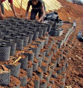 Quality Reinforced HDPE Cellular Confinement Geocell Fabric For Slope Protection wholesale