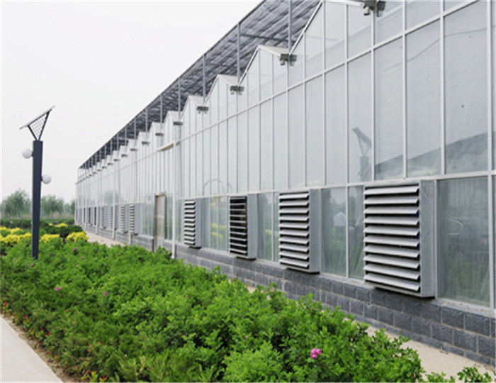 Hot Dipped Galvanized Steel 7.5m Polycarbonate Greenhouse