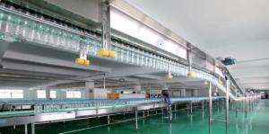 Quality Sanitary Accumulation Air Bottle Conveyor System Stainless Steel ANSI304 wholesale