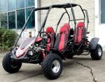Steel Wheel Air Cooled Load 500lbs Go Kart Buggy