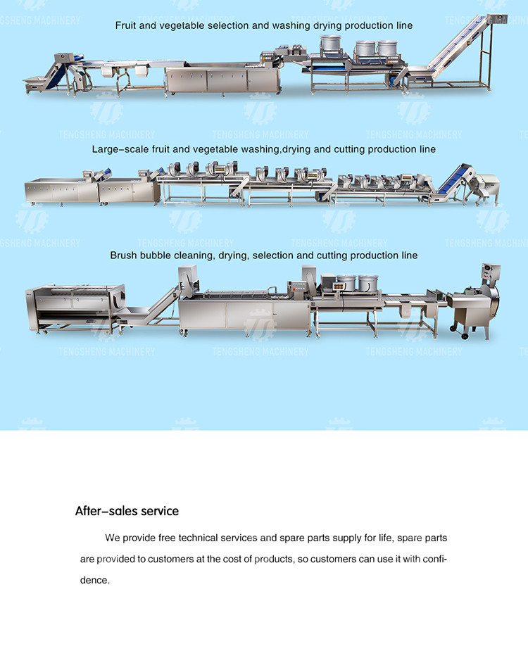 1500KG/H Root Vegetable Washing And Peeling Machine For Restaurant