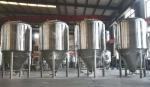 Inner 3mm 800L Conical Beer Fermentation Tank