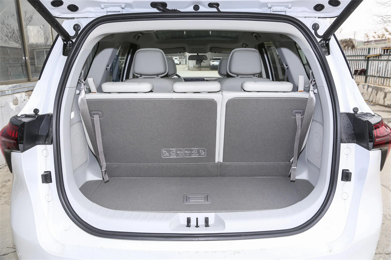 DCT Gearbox and Strong Power 's Latest MPV Motor Power Battery Vehicle M4 HEV with Customization Options from Leading Supplie