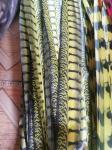 Carinval Costumes Decoration Fake Lady Amherst Pheasant Feather