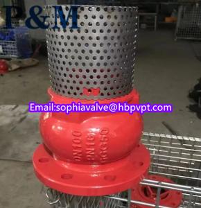 Quality dn100 pn16 GGG50 foot valve stainless steel screen wholesale