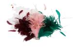 European and American Style Party Decoration Goose and Hackle Feather Flower
