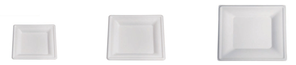 Disposable Tableware Biodegradable Sugarcane Bagasse Plates Refrigerator Wedding