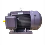 50HZ Asynchronous Electric Motor