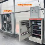 Thermostat Waterproof Plant Growing Hydroponics System Tunnel Large Greenhouses