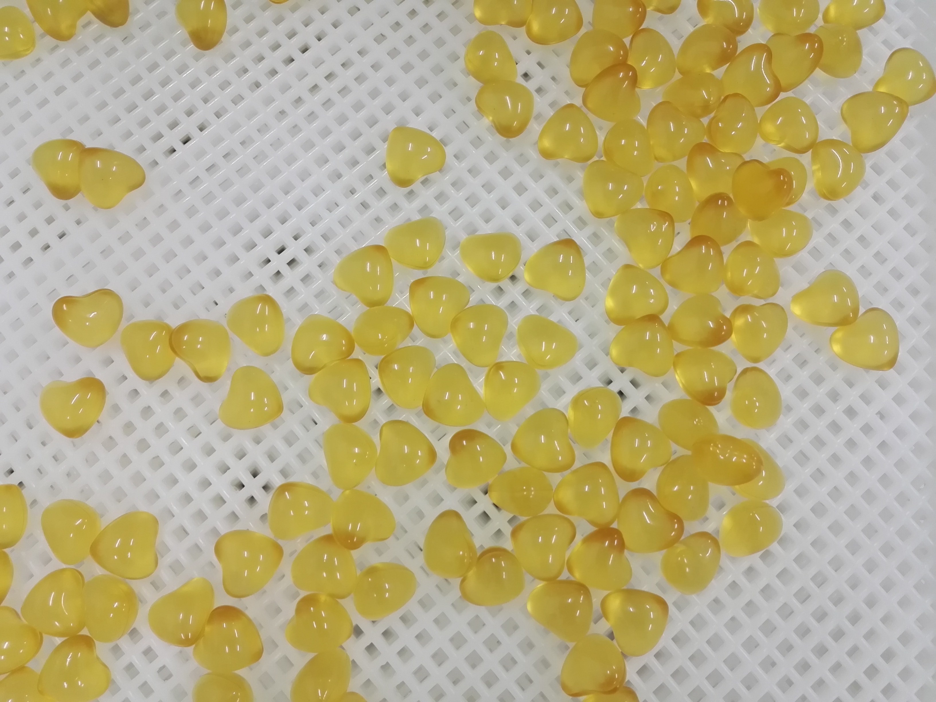 Pharmaceutical medicine Plastic Drying Trays with holes for good drying