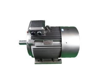 Quality YE3 315L1-4 160kW 380V Low Voltage 3 Phase Motor Class F IP55 wholesale