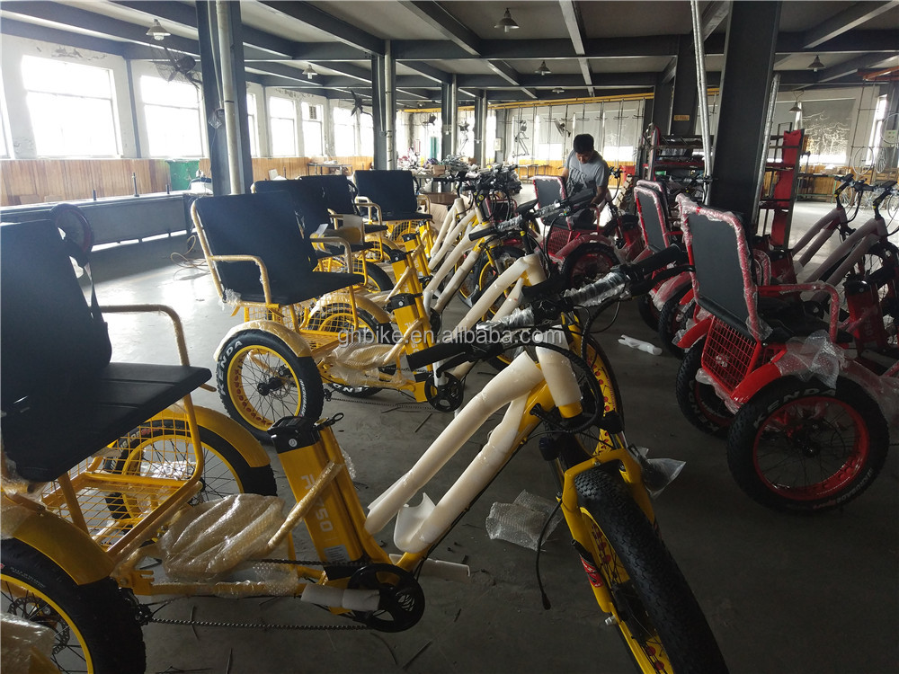 Bafang 750W Motor Electric Tricycle with Fat Tire E Three Wheels and Passenger Seat