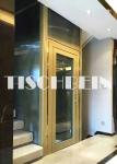 Golden Color Steel Structure Shaft Residential Building Home Elevators 300kg