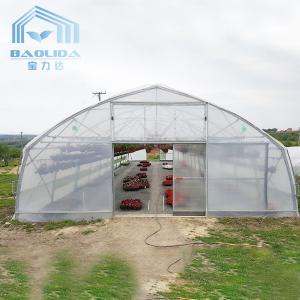 Quality Plants Growing System Greenhouse Steel Pipe Structure Hoop Tunnel Plastic Greenhouse wholesale