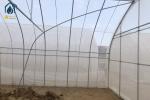 Oval Tube Film Multi Span Greenhouse Arched Commercial Greenhouse Frame