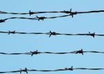 Galvanised Garden Security Barbed Wire 25M Length 1.7mm Wire Diameter