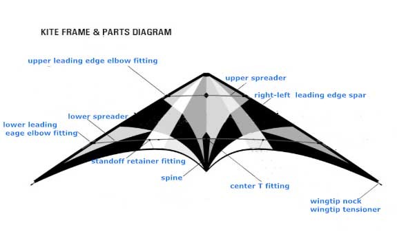 Dual line Delta stunt kite good sharp sports kites for Spring season