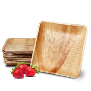 Quality 8&quot; 10&quot; Biodegradable Palm Leaf Plates Disposable wholesale