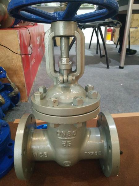 API DIN GOST Standard Cast Steel A216 WCB Rising Stem Bolted Bonnet Stellite