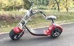 EcoRider 1000W 60V 10ah Big solid tire Two Wheel Electric Motorcycle Scooter