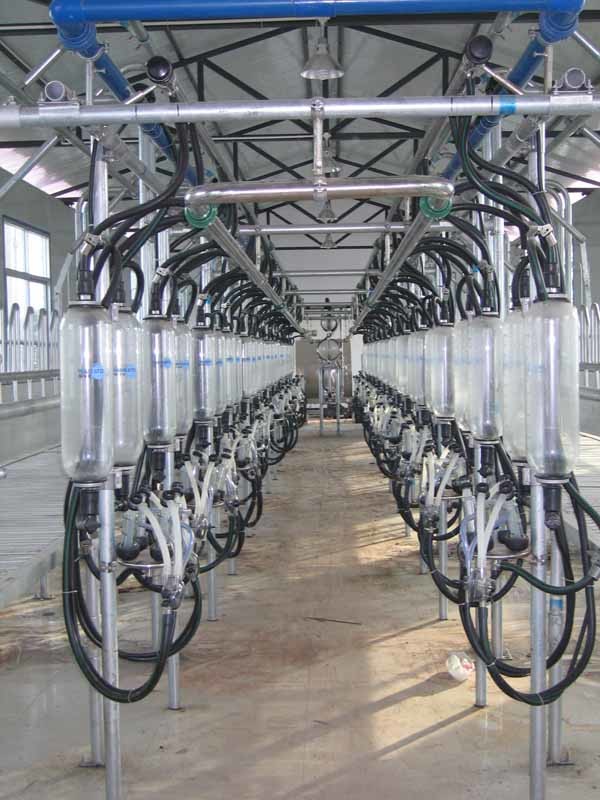 HL-G01 Dairy Farming 2x12 Goat Milking Parlor System with 6L Glass Milk Jar