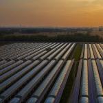 30 Days Return Refunds Double Layer PE/Po Plastic Film Photovoltaic Solar