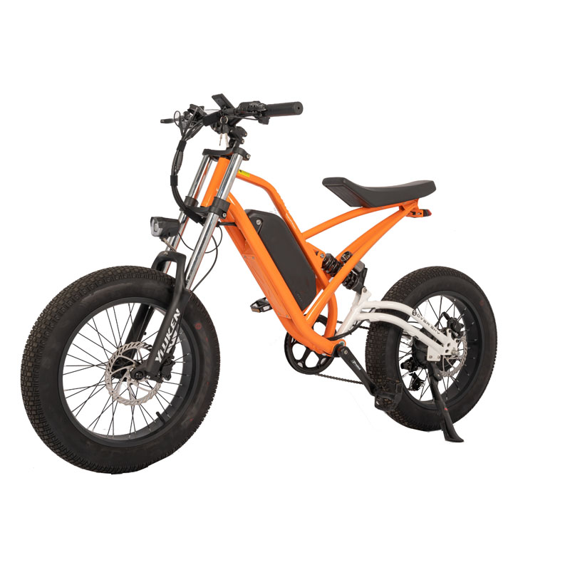 Off-Road Electric Fat Tire Bike Rear Hub Motor 20" Wheel Size for Exciting Adventures