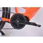 6 Speed Mid Drive Step Through Electric Mountain Bike 750W 150G Aluminum Frame