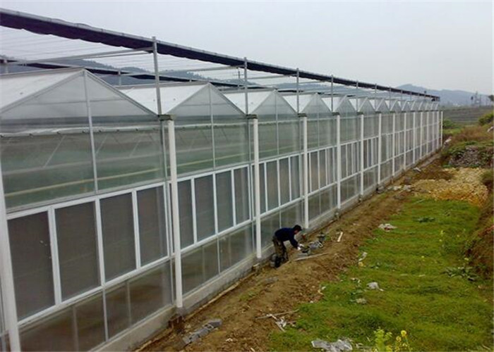 2.8mm - 20mm Thickness PC Sheet Greenhouse Low Heating Energy Consumption