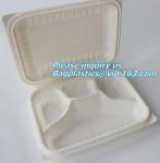 Disposable Plastic Takeaway Meal Tray, Corn starch blister packaging tray,
