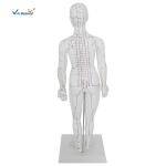 Female Medical Acupuncture 48cm Human Body Massage Model