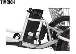 TM-BGL-ET02 Three Wheel Electric Bike , Rechargeable Electric Bicycle With