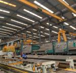 Jib Tower Crane 12 Ton Mobile Mini Lifting Machinery