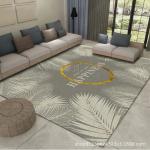 Nordic Light Luxury Floor Carpet Rug For Living Room Coffee Table 80*120cm