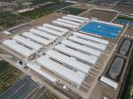 Industrial Steel Structural Buildings Prefabricated Steel Poultry House